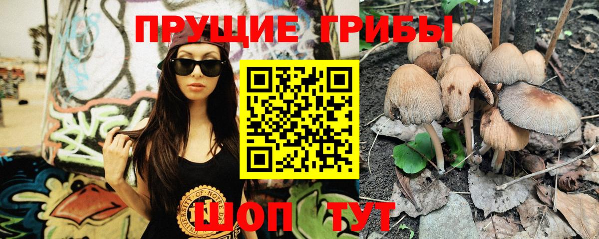 Ишимбай  Псилоцибиновые грибы Psilocybine cubensis  сколько стоит  Вход с VPN 